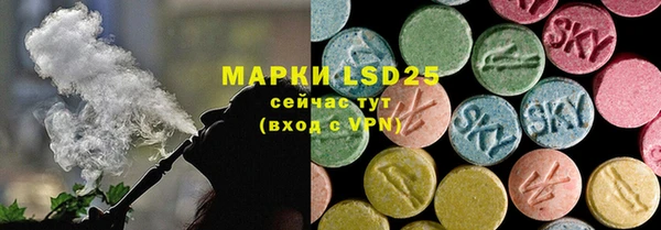 стафф Чекалин