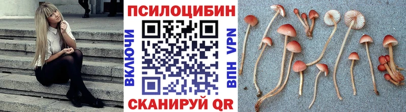 OMG зеркало Нарткала Галлюциногенные грибы прущие грибы
